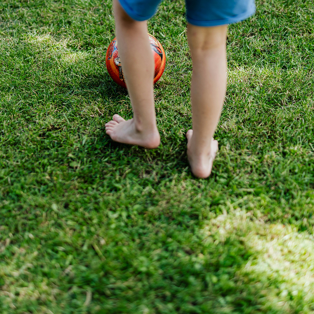 Forest with gentle breeze moving leaves and branches